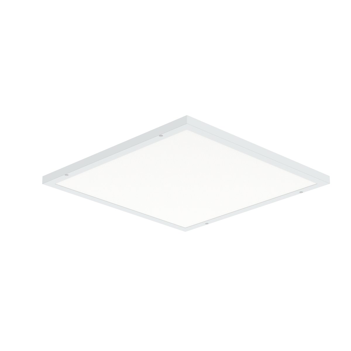 600x600 (1)