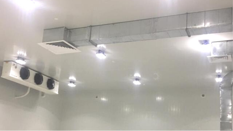 Đèn kho lạnh là gì?